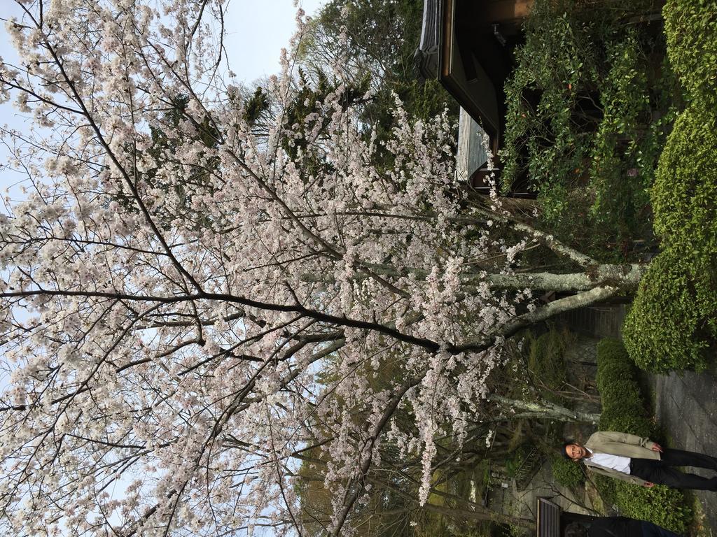 Ryokan Uemura Kioto Exterior foto