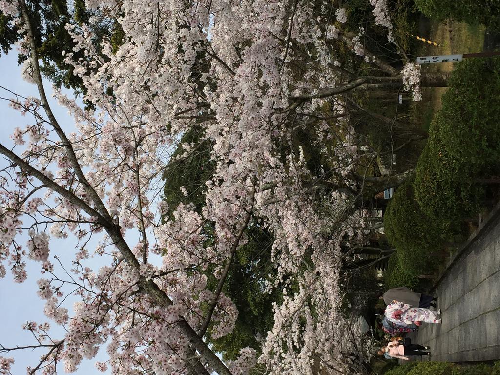 Ryokan Uemura Kioto Exterior foto