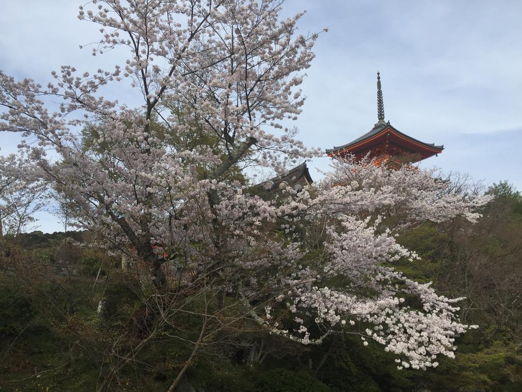 Ryokan Uemura Kioto Exterior foto
